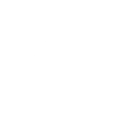 LEI-ISO-certificate